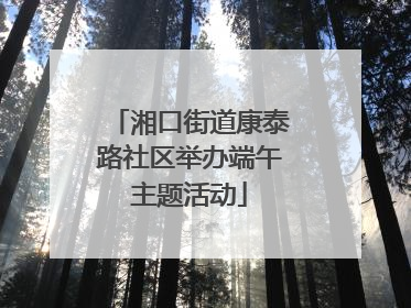 湘口街道康泰路社区举办端午主题活动