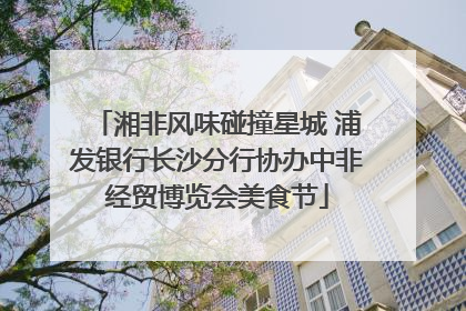 湘非风味碰撞星城 浦发银行长沙分行协办中非经贸博览会美食节