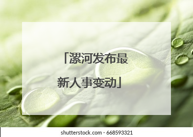 漯河发布最新人事变动