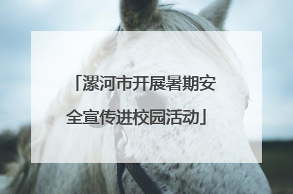 漯河市开展暑期安全宣传进校园活动