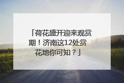 荷花盛开迎来观赏期！济南这12处赏花地你可知？