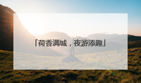 荷香满城，夜游添趣