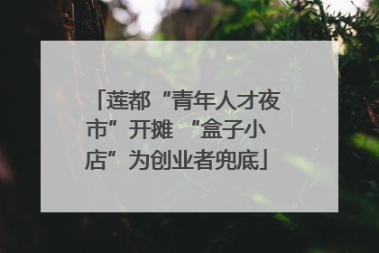 莲都“青年人才夜市”开摊 “盒子小店”为创业者兜底
