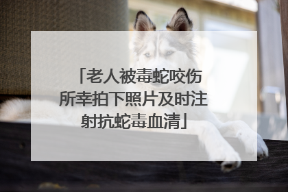 老人被毒蛇咬伤 所幸拍下照片及时注射抗蛇毒血清