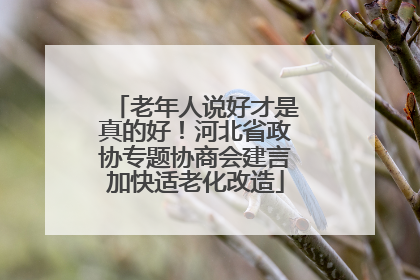 老年人说好才是真的好！河北省政协专题协商会建言加快适老化改造