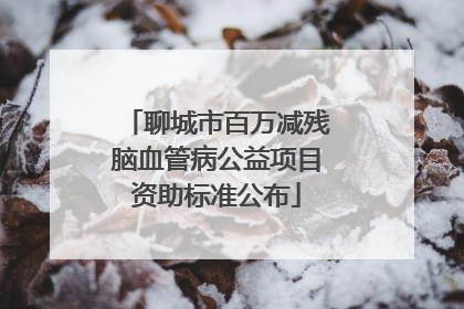 聊城市百万减残脑血管病公益项目资助标准公布