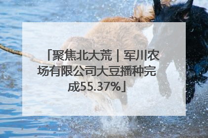 聚焦北大荒｜军川农场有限公司大豆播种完成55.37%