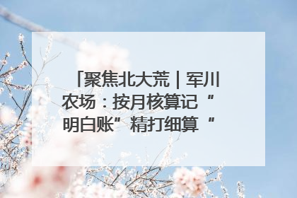 聚焦北大荒｜军川农场：按月核算记“明白账”精打细算“过紧日子”