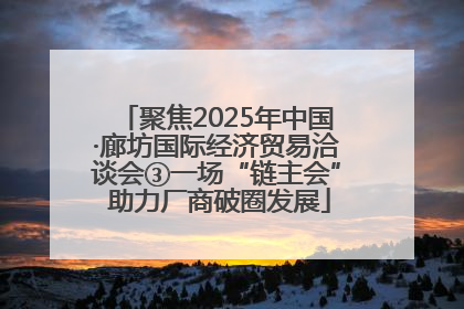 聚焦2025年中国·廊坊国际经济贸易洽谈会③一场“链主会” 助力厂商破圈发展