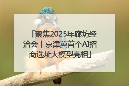 聚焦2025年廊坊经洽会丨京津冀首个AI招商选址大模型亮相