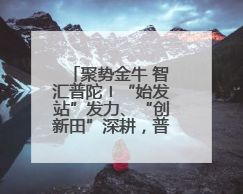 聚势金牛 智汇普陀〡“始发站”发力、“创新田”深耕，普陀科创“金牛”闪耀
