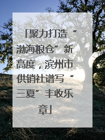 聚力打造“渤海粮仓”新高度，滨州市供销社谱写“三夏”丰收乐章