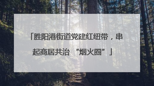 胜阳港街道党建红纽带，串起商居共治 “烟火圈”