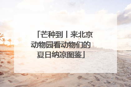 芒种到丨来北京动物园看动物们的夏日纳凉图鉴