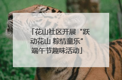 花山社区开展“跃动花山 粽情童乐”端午节趣味活动
