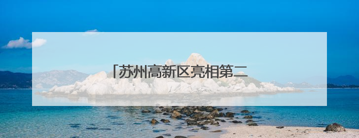 苏州高新区亮相第二十一届深圳文博会