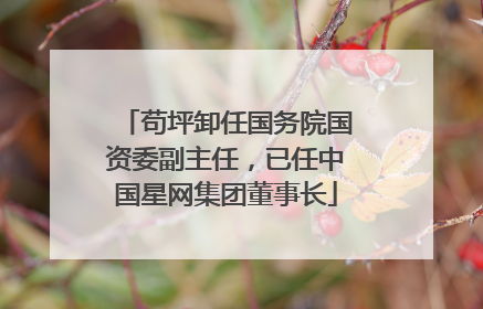 苟坪卸任国务院国资委副主任，已任中国星网集团董事长