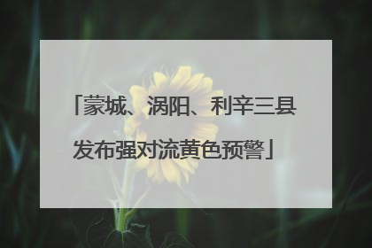 蒙城、涡阳、利辛三县发布强对流黄色预警