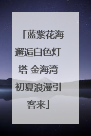 蓝紫花海邂逅白色灯塔 金海湾初夏浪漫引客来