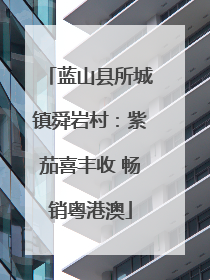 蓝山县所城镇舜岩村：紫茄喜丰收 畅销粤港澳