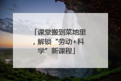 课堂搬到菜地里，解锁“劳动+科学”新课程