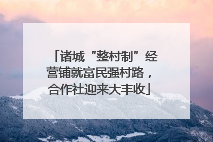 诸城“整村制”经营铺就富民强村路，合作社迎来大丰收