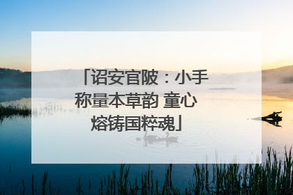 诏安官陂：小手称量本草韵 童心熔铸国粹魂