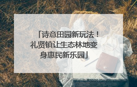 诗意田园新玩法！礼贤镇让生态林地变身惠民新乐园