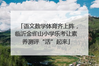 语文数学体育齐上阵，临沂金雀山小学乐考让素养测评“活”起来