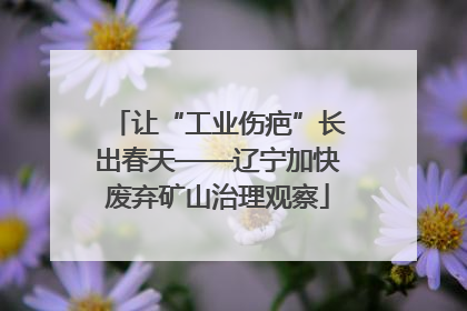 让“工业伤疤”长出春天——辽宁加快废弃矿山治理观察