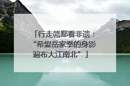 行走赣鄱看非遗：“希望岳家拳的身影遍布大江南北”