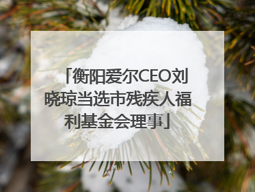 衡阳爱尔CEO刘晓琼当选市残疾人福利基金会理事