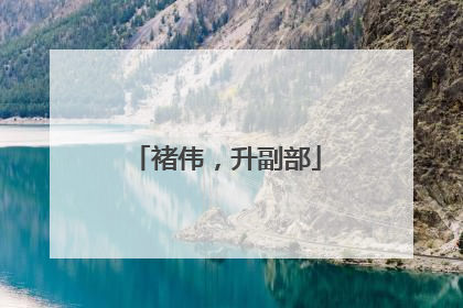 褚伟，升副部