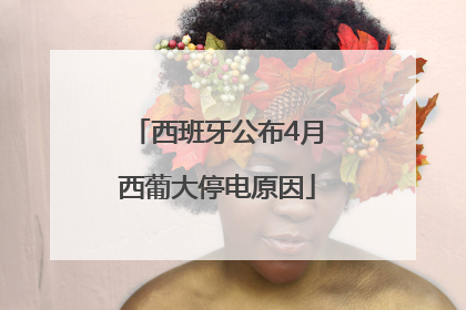 西班牙公布4月西葡大停电原因