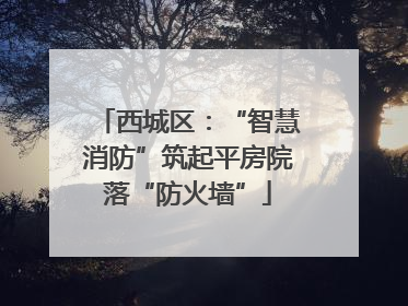 西城区：“智慧消防”筑起平房院落“防火墙”