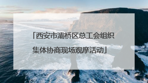 西安市灞桥区总工会组织集体协商现场观摩活动