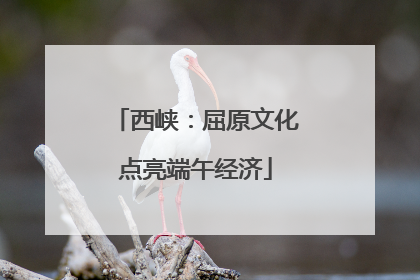 西峡：屈原文化点亮端午经济