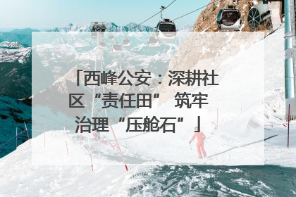 西峰公安：深耕社区“责任田” 筑牢治理“压舱石”