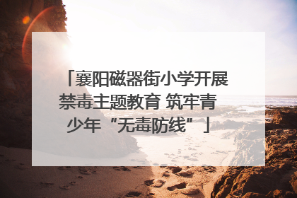 襄阳磁器街小学开展禁毒主题教育 筑牢青少年“无毒防线”