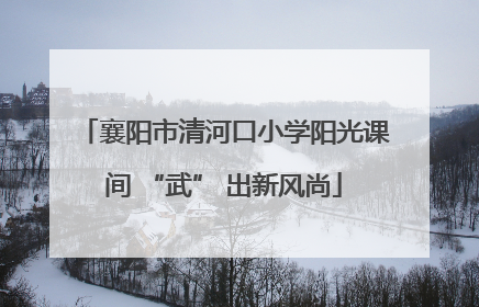 襄阳市清河口小学阳光课间 “武” 出新风尚