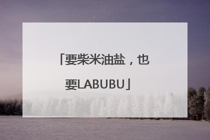 要柴米油盐，也要LABUBU