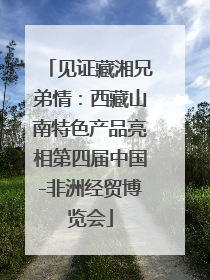 见证藏湘兄弟情：西藏山南特色产品亮相第四届中国-非洲经贸博览会