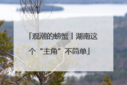 观潮的螃蟹丨湖南这个“主角”不简单
