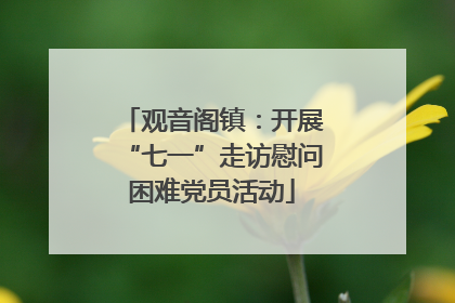 观音阁镇：开展“七一”走访慰问困难党员活动