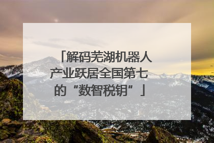解码芜湖机器人产业跃居全国第七的“数智税钥”