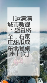 运满满城市数观：盛夏将至，石家庄甜瓜成东北餐桌座上宾