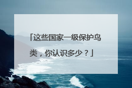 这些国家一级保护鸟类，你认识多少？