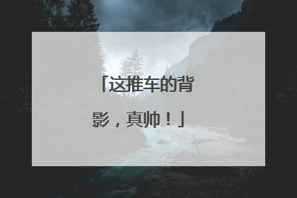 这推车的背影，真帅！