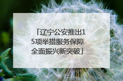 辽宁公安推出15项举措服务保障全面振兴新突破