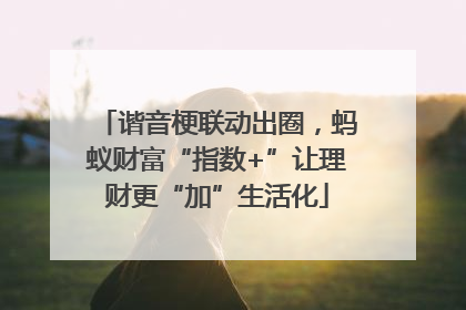 谐音梗联动出圈，蚂蚁财富“指数+”让理财更“加”生活化